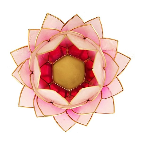 Lotus Teelichthalter rosa goldfarbig groß