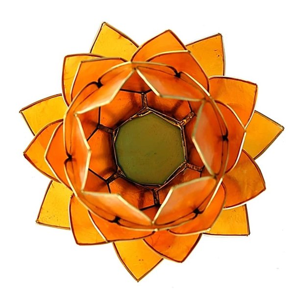 Lotus Teelichthalter orange goldfarbig